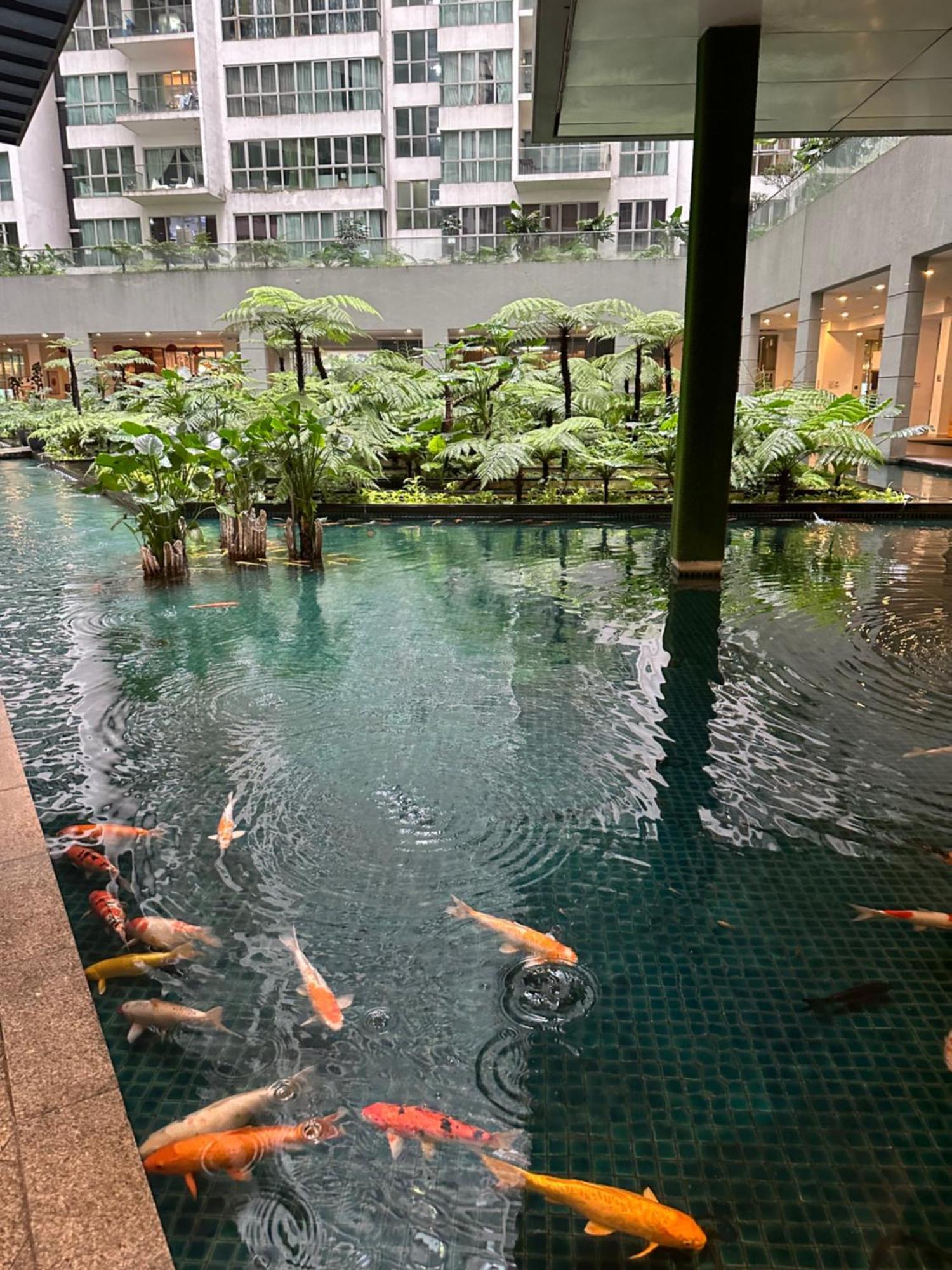 Modern Bauhaus Studio At Regalia Klcc Infinity Pool Kuala Lumpur Ngoại thất bức ảnh